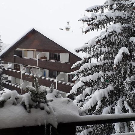 Apartment A'Horn Sankt Johann in Tirol Εξωτερικό φωτογραφία